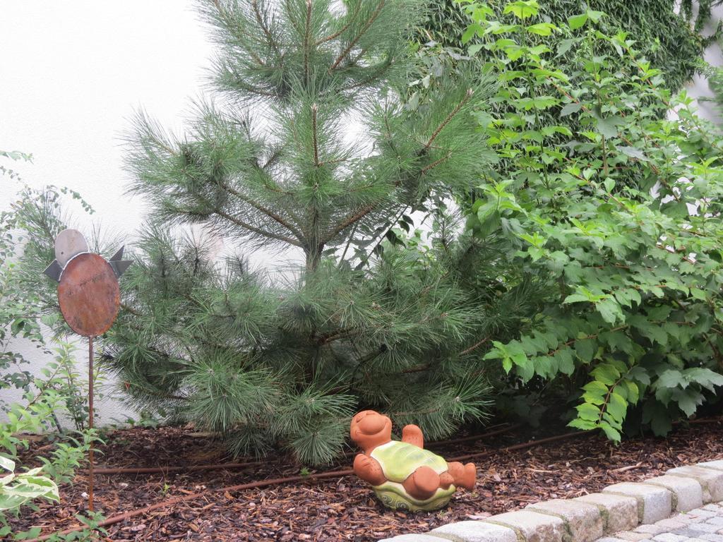 Gartenpension Fischl Mörbisch am See Dış mekan fotoğraf